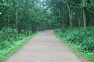 नेतरहाट, लातेहार जिला, झारखंड