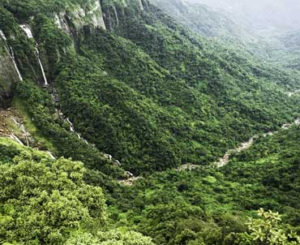 Amendments to the Indian Forest Act 1927
