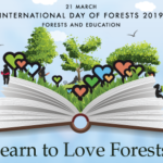 International Day of Forests 2019