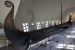 Another VIking Sky ship found burried