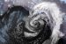 Bomb Cyclone