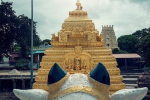 मल्लिकार्जुन मंदिर, वारंगल, आंध्र प्रदेश