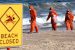 Fatberg – toxic fat found in beaches of Australia