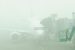 Flights grounded in Edmonton due to dense fog