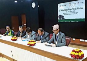 New Delhi Declaration on Asian Rhinos 2019
