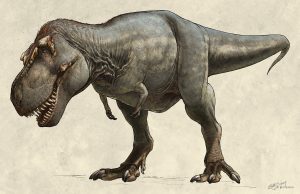 Tyrannosaurus rex is the world’s biggest