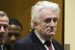 UN:  Sentence of Karadzic increased to life for Bosnia Genocide