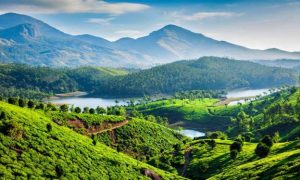 पश्चिमी घाट की पहाड़ियाँ