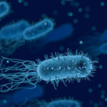 Scientists Discover Oil-Eating Bacteria at the Bottom of the Ocean