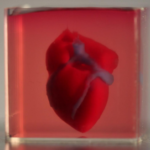 Scientists Print First 3D Heart Using Patient's Biological Materials