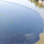 Decolourisation of River Periyar