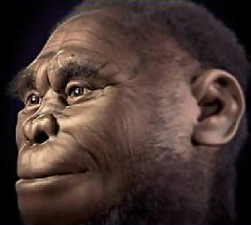 Homo Luzonensis