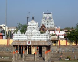 तिरुवल्लिककेनी पार्थसारथी, चेन्नई, तमिलनाडु
