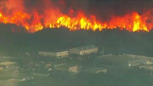 Forest fire burns thousands of acre in New Jersey