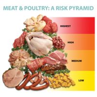 Ground Beef ”the major cause food poisoning