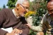 Paripooranand Painuli, Former Congress MP and freedom fighter passed away