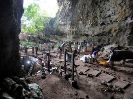 Scientists discover new excavation of Human species in Philippines