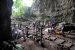 Scientists discover new excavation of Human species in Philippines