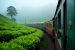 Sri Lanka unveils new Railway Line
