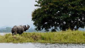 भारत के राष्ट्रीय उद्यान