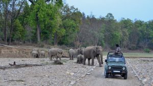 राजाजी नेशनल पार्क, उत्तराखंड