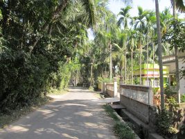 बदूरिया, उत्तर 24 परगना, पश्चिम बंगाल