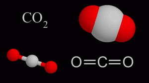 Carbon Dioxide
