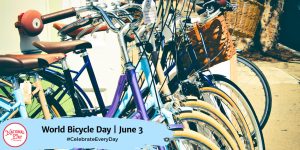 3 June: World Bicycle Day celebrated