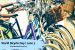3 June: World Bicycle Day celebrated