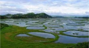 केइबुल लामजाओ नेशनल पार्क