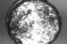 Californium