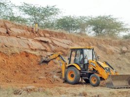 Area around Asola Bhatti Wildlife Sanctuary declared Eco-sensitive