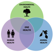 One Health Concept
