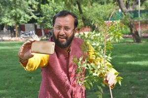 Selfie with Sapling Campaign