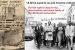 Windrush Scheme