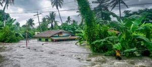 World Bank partners with First Resilient Kerala Program