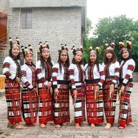 हमार जनजातियाँ