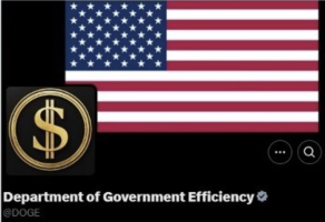 Department of Government Efficiency (DOGE)