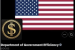 Department of Government Efficiency (DOGE)