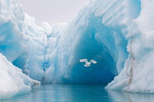 Arctic Ocean