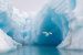 Arctic Ocean