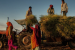 Average Monthly Income per Agricultural Household less than Rs. 6500: Govt.