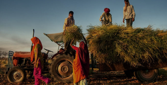 Average Monthly Income per Agricultural Household less than Rs. 6500: Govt.