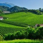 Italy’s Prosecco hills enters UNESCO World Heritage list