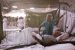 Dengue hits record high of 18 years in Bangladesh
