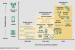 Digital payment ecosystem in India