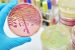 Health Ministry bans Colistin in Animal Food Industry