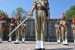 IPS officer V. K. Johri appointed as New BSF Director General