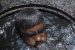 Manual Scavenging in India