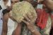 Meteorite Recovered in Bihar